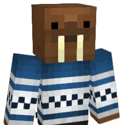 EnderSpecial Minecraft avatar bust