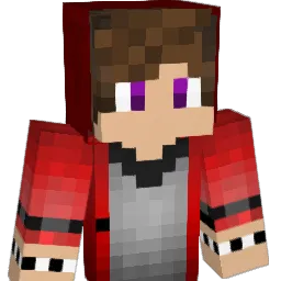 Ender_Bro_ Minecraft avatar bust