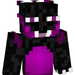 Ender_Charizard Minecraft avatar bust