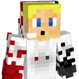 Ender_Craft Minecraft avatar bust