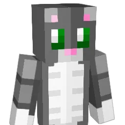Ender_Jai Minecraft avatar bust