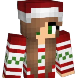 Ender_slayer_24 Minecraft avatar bust