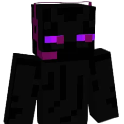 Enderderp1