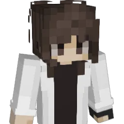 Enderion4ik_ Minecraft avatar bust