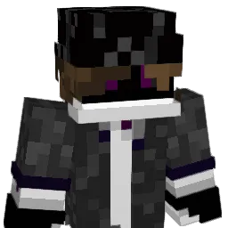 Endermite3948 Minecraft avatar bust