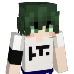 Endermon_ Minecraft avatar bust