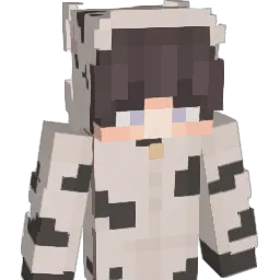 EndirR Minecraft avatar bust