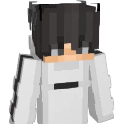 EndlessSkillz Minecraft avatar bust