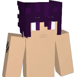 Endninjathetrue1