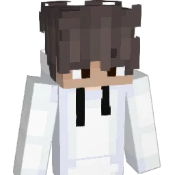 EndoroX_pl Minecraft avatar bust