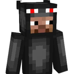 EnjoyMyHits Minecraft avatar bust
