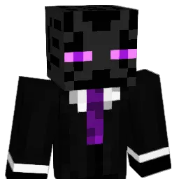 Enjoy___ Minecraft avatar bust