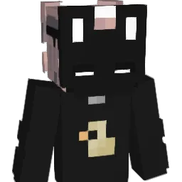 Enoirray Minecraft avatar bust