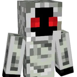 Ent1ty_303 Minecraft avatar bust