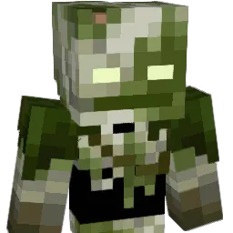 Envixity5153 Minecraft avatar bust