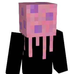 Eoel2299 Minecraft avatar bust