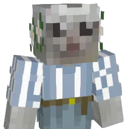 EpicRobinQuest's Minecraft skin