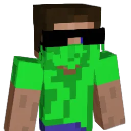 Er12c Minecraft avatar bust