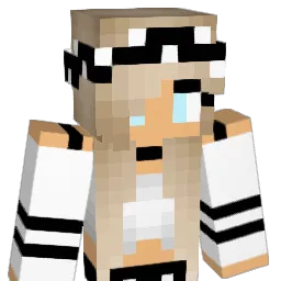 ErIn26k Minecraft avatar bust