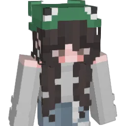 ErRor4041795 Minecraft avatar bust