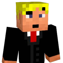 Erbseneintopf Minecraft avatar bust