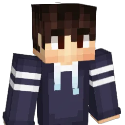 ErfanGamer Minecraft avatar bust