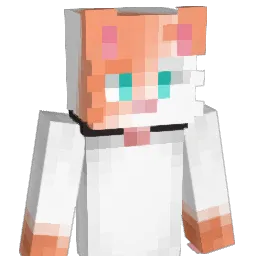 Erkkuu_ Minecraft avatar bust