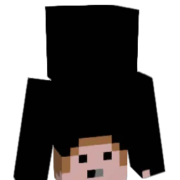 Error_307 Minecraft avatar bust