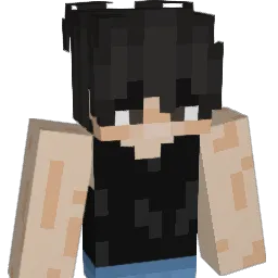 Erti25 Minecraft avatar bust