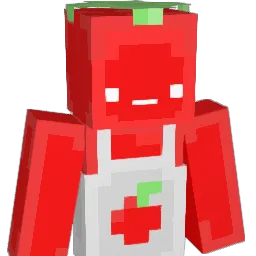 Ertou_ Minecraft avatar bust