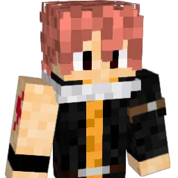 Erwan2106 Minecraft avatar bust