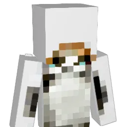 ErwinSmith_ Minecraft avatar bust