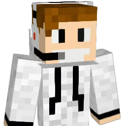 Eryk354 Minecraft avatar bust
