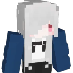Es1216 Minecraft avatar bust