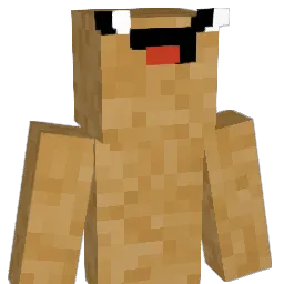 Eshed Minecraft avatar bust