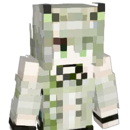 Eternally_carry Minecraft avatar bust