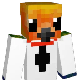 EthanJackson2006 Minecraft avatar bust