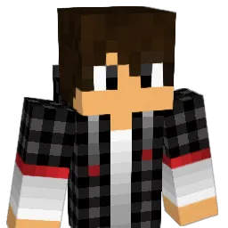 Etho246 Minecraft avatar bust