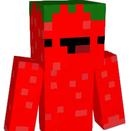 Etienne0913 Minecraft avatar bust