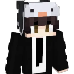 Eto1243 Minecraft avatar bust