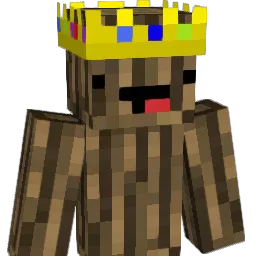 Etx_9 Minecraft avatar bust