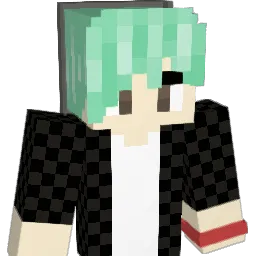 Evan272 Minecraft avatar bust