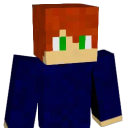 Evan317 Minecraft avatar bust