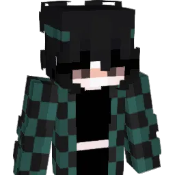 Everr_mi Minecraft avatar bust