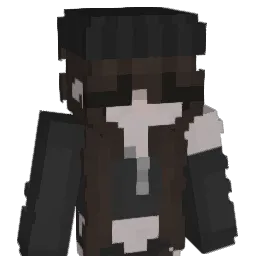 EveryStorm22 Minecraft avatar bust