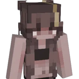 EvilFarmer1 Minecraft avatar bust
