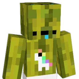 EvilMelon_ Minecraft avatar bust