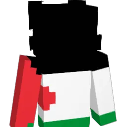EvilerOrpheus65 Minecraft avatar bust