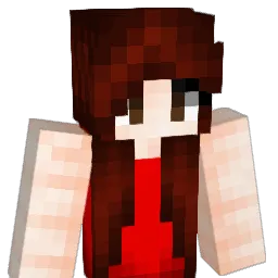 Evilys54 Minecraft avatar bust