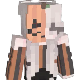 ExchangeProgram's Minecraft skin